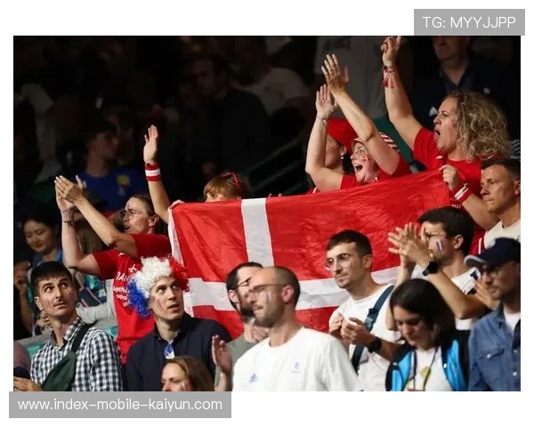 手球法国队主力发挥神勇，勇夺国际大赛冠军！